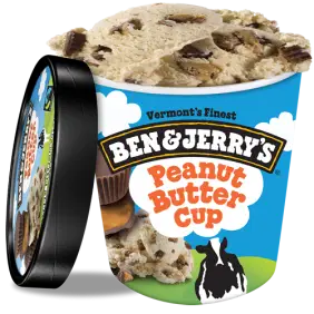 Ben & Jerry's Peanutbutter Cup - 