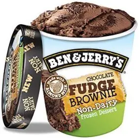 Ben & Jerry's Non-Dairy - Chocolate Fudge Brownie - 